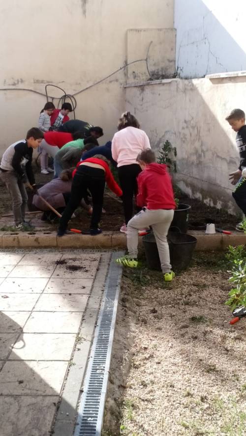 WhatsApp Image 2018-12-11 at 13.25.41